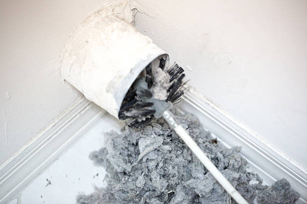 Best Air Duct Sanitizing Services  in Vernal, UT